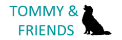 Tommy & Friends